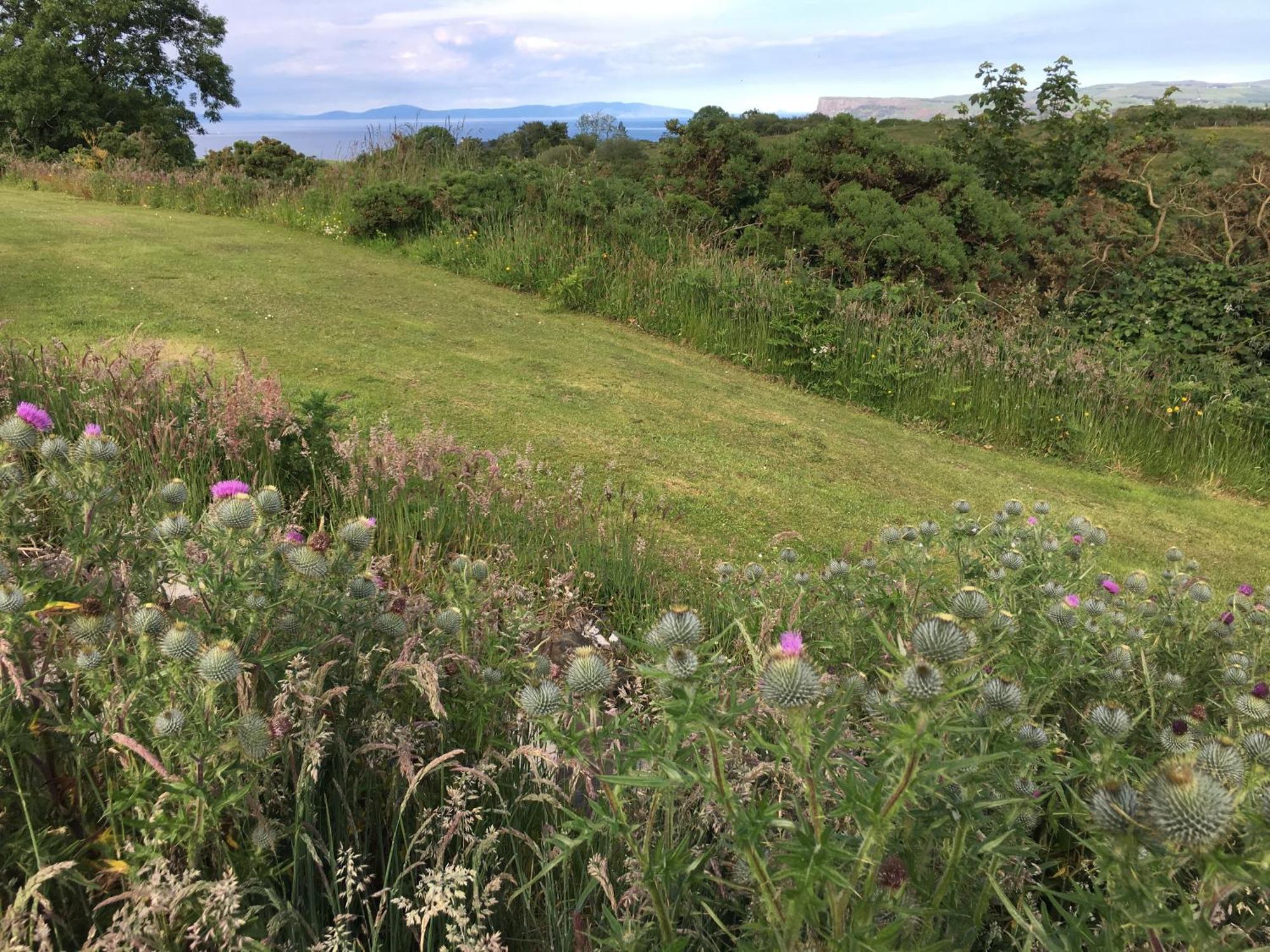 Causeway Coast Country Cottage, Pet-Friendly Ballycastle Luaran gambar